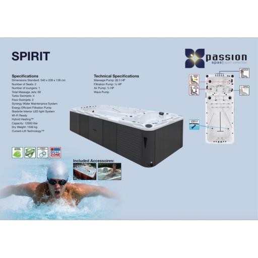Passion Spa Swimspa Pool